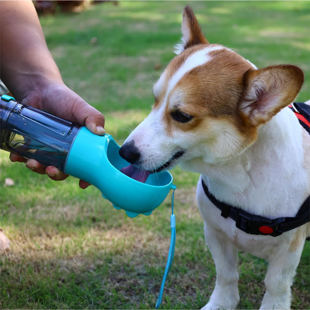 Botella de agua multifuncional 4-in-1